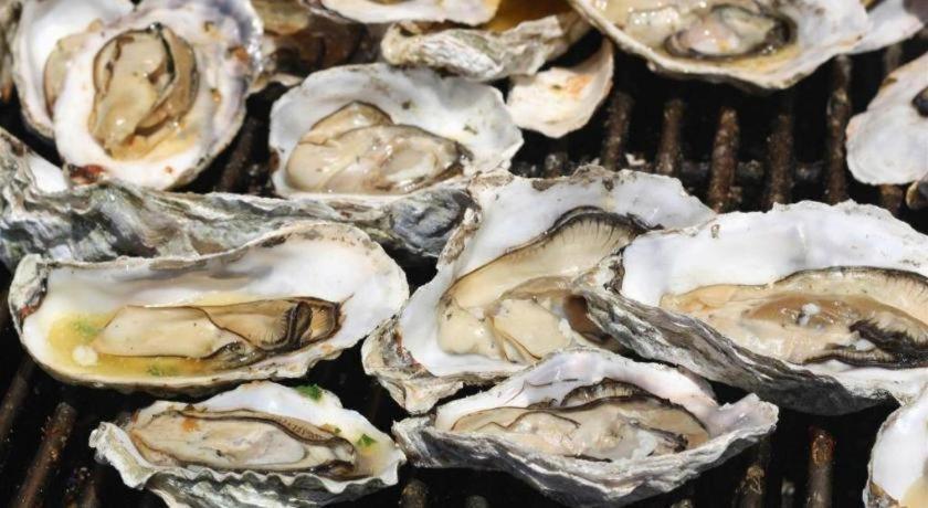 Anh Tuan Hotel Vung Tau Zewnętrze zdjęcie
